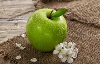 کجا دنبال امنیت هستند؟